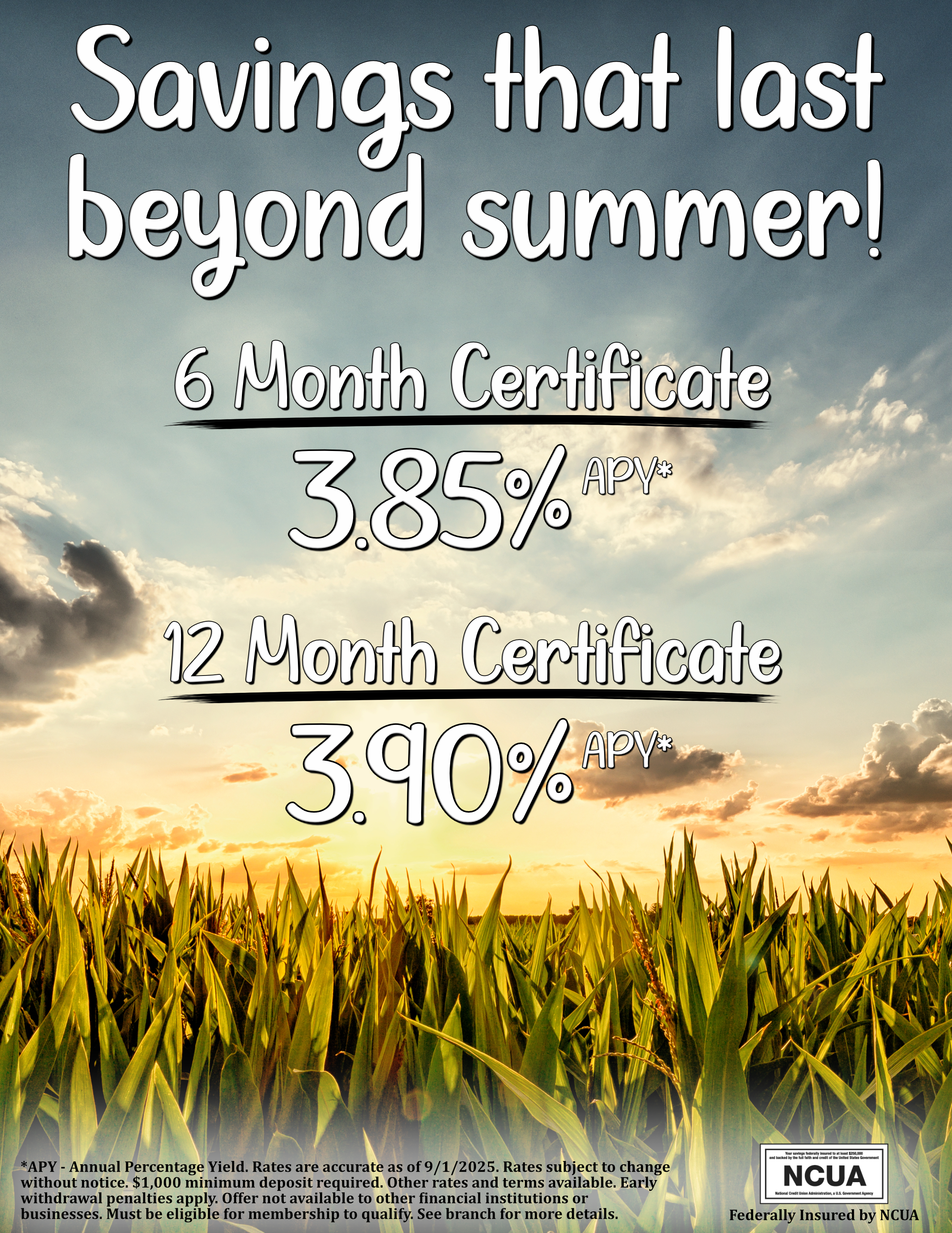 CD Rates Spring